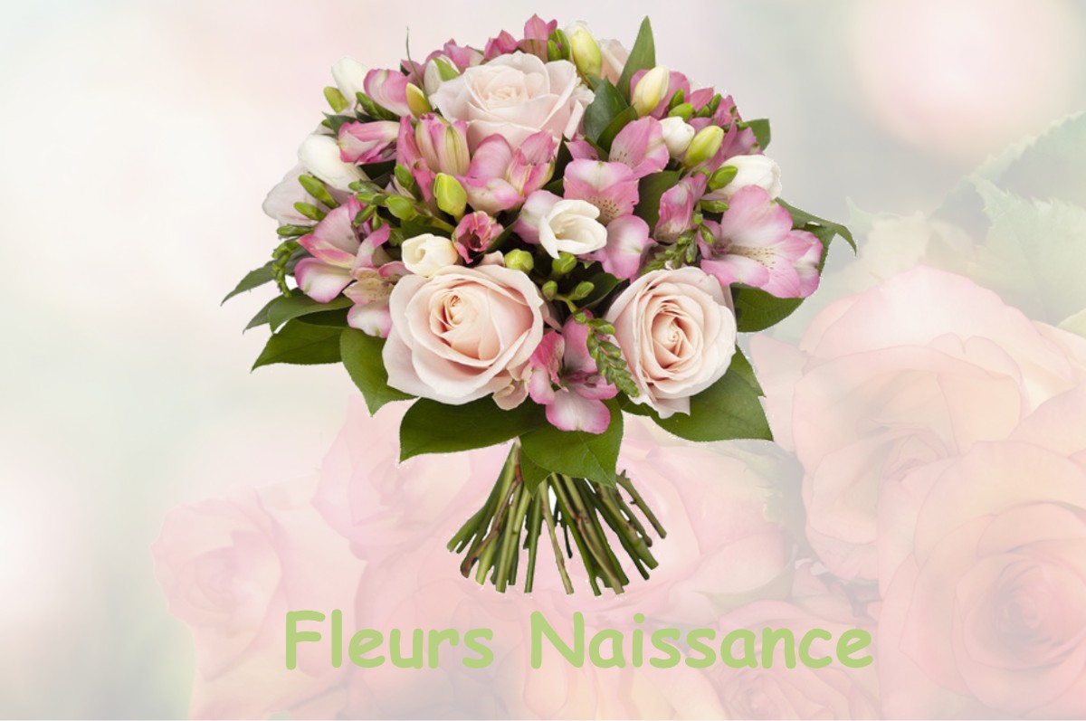 fleurs naissance SANTANS