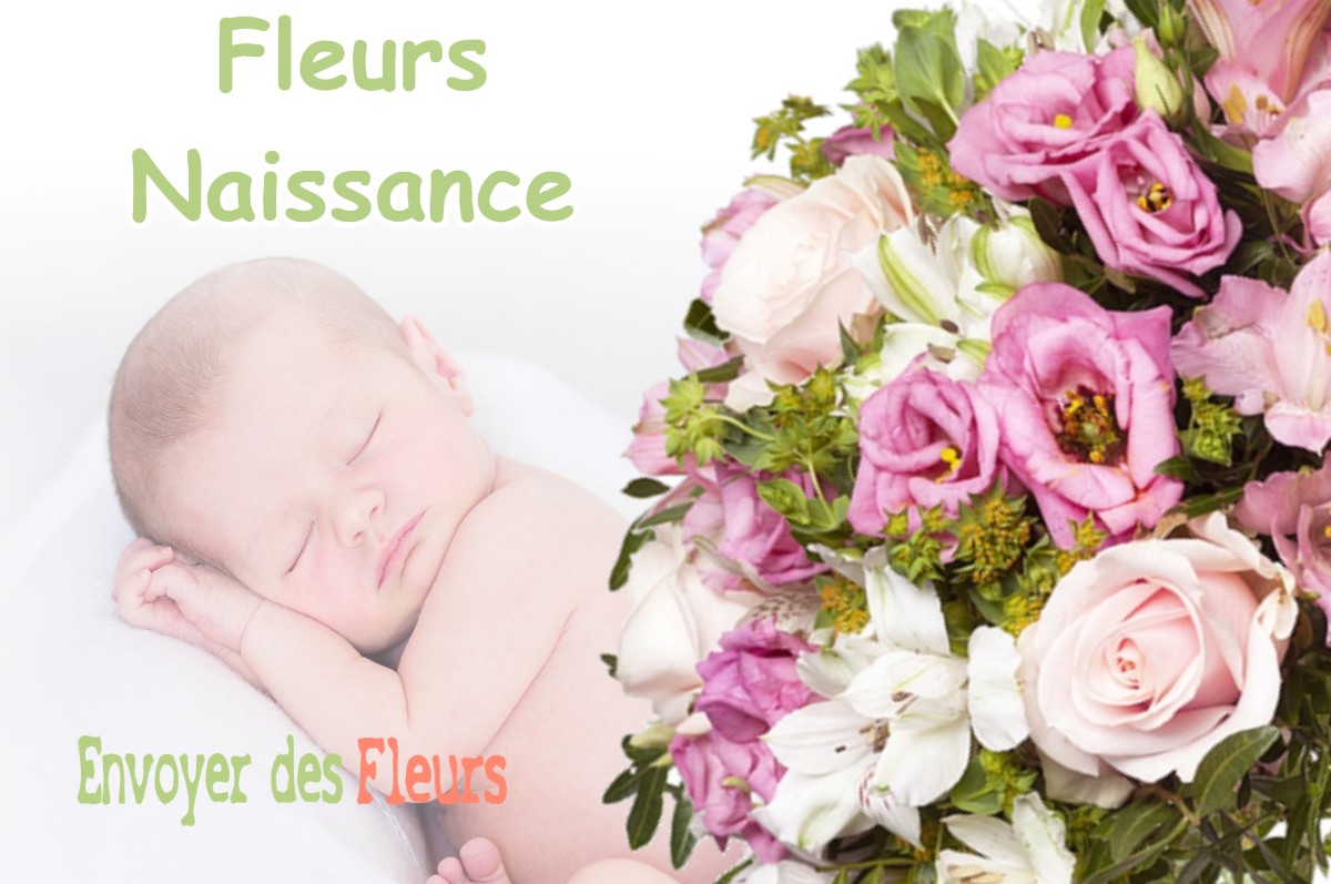 lIVRAISON FLEURS NAISSANCE à SANTANS